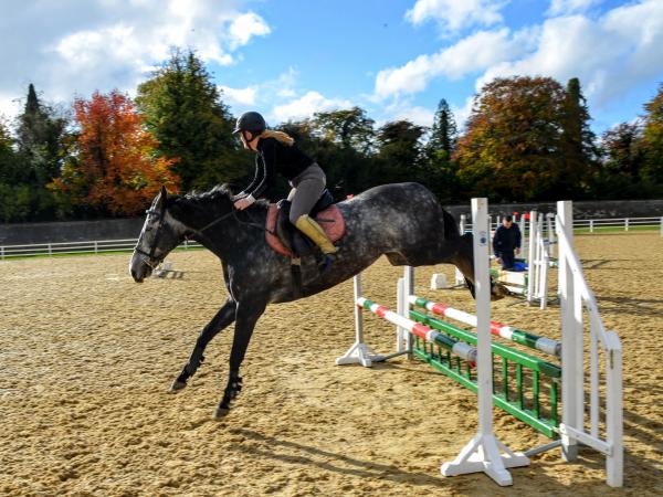 Horse arena 