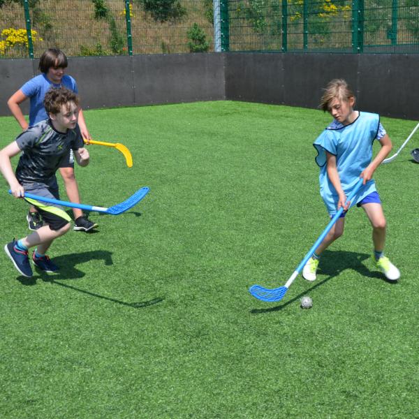 Multisport hockey