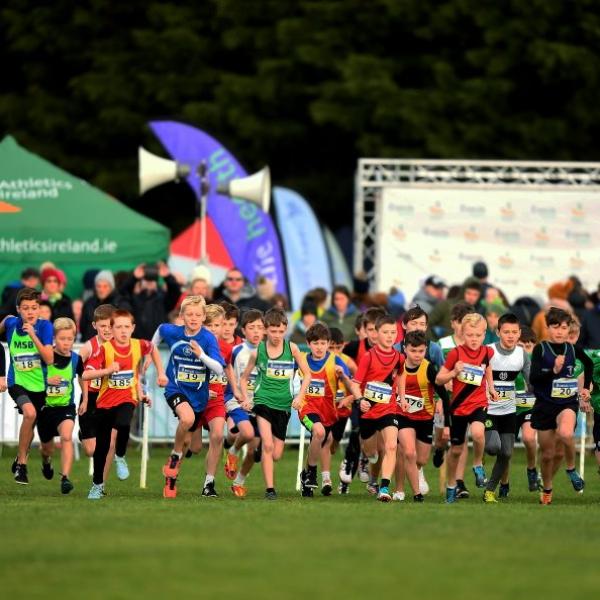 cross country 2