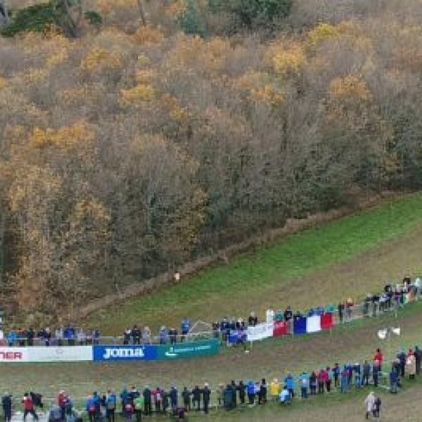 What's on at Sport Ireland Campus