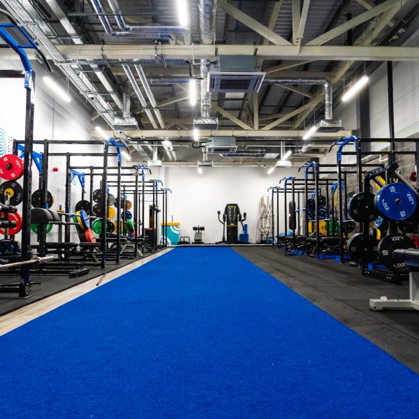 High Performance Gym 