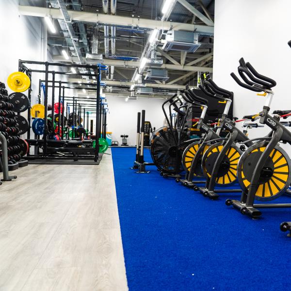 Home  Sport Ireland Campus Fitness