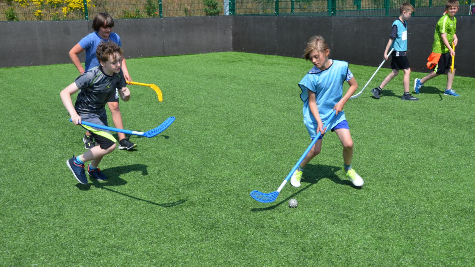 Multisport hockey