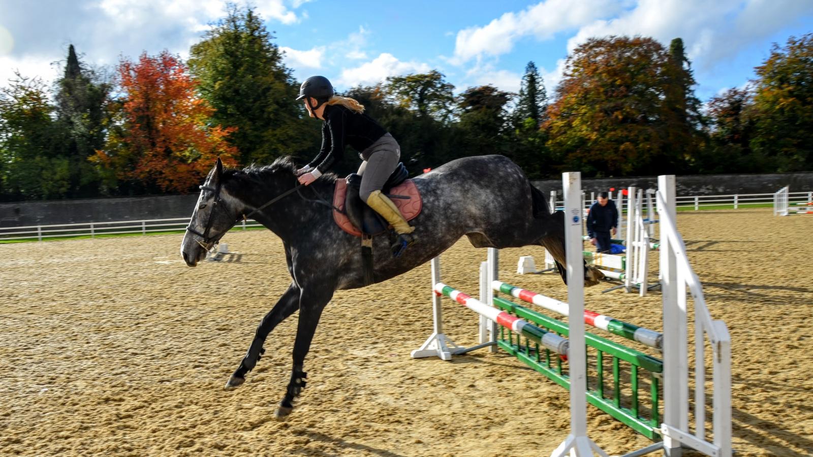 Horse arena